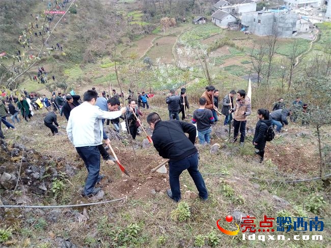 2月22日,貞豐縣珉谷街道組織全辦干部職工、村(社區(qū))常務(wù)干部開展義務(wù)植樹活動(dòng)。